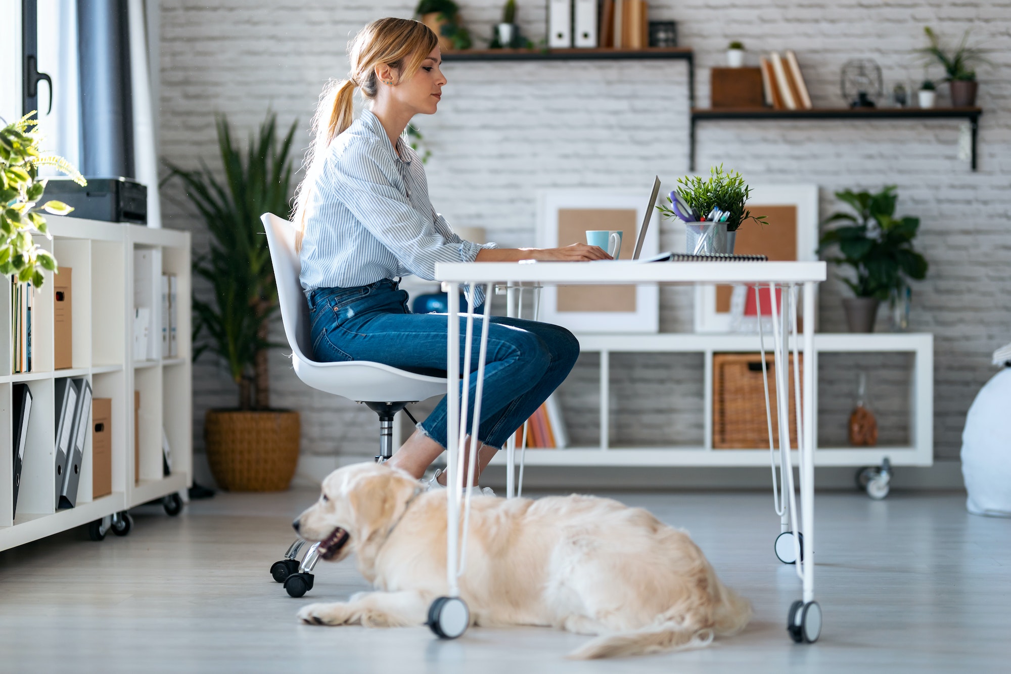 Attractive woman working with laptop while her cute dog keeping her company in living room at home.